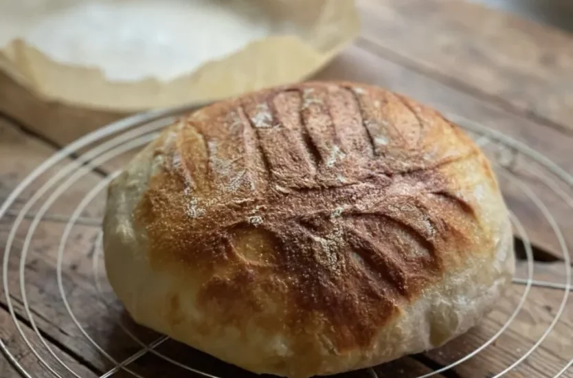 SOURDOUGH BREAD IN THE NINJA FOODI