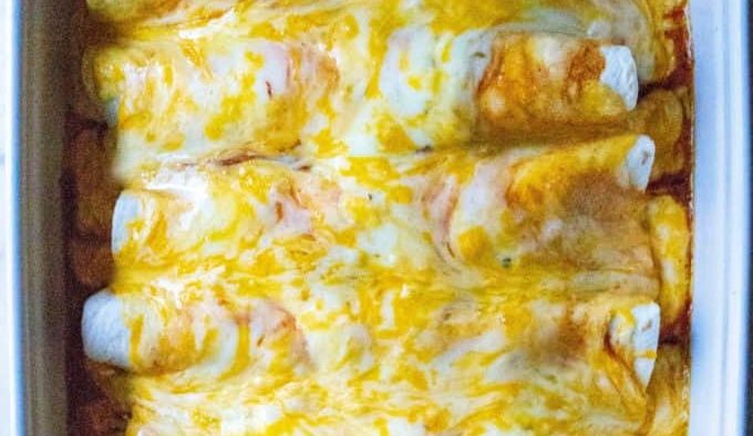 Chicken Enchiladas