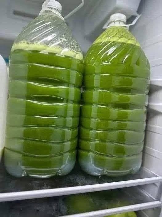 Healthy Green Juice: Fresh, Simple, and Full of Greens