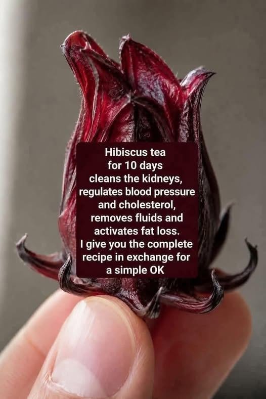 Healthy Homemade Hibiscus Tea